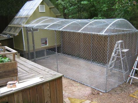 Exercise pen/kennel area. The top covering and a padlock would prevent people from putting animals inside. Also a good place for potential adopters to play with the dog. This design is for a chicken coop, but I can see it as a full-sized pen. Chicken Tricks, Pet Necessities, Dog Kennel Roof, Diy Dog Run, Small Farming, Dog Pens, Cat Enclosures, Dog Kennel Cover, Dog Run