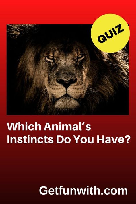 How To Be Cunning, Which Animal Are You Quiz, Am I A Therian Quiz, Which Animal Are You, What Is My Spirit Animal, Spirit Animal Test, Phycological Facts, Animal Psychology, Lion Spirit Animal