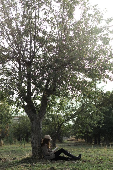 A Person Sitting under a Tree in a Park · Free Stock Photo Person Sitting Under Tree, Person Sitting On Ground, Reading Book Under Tree, Poses In Park, Zombie Au, Sitting Under A Tree, A Person Sitting, Inktober 2024, People Lie