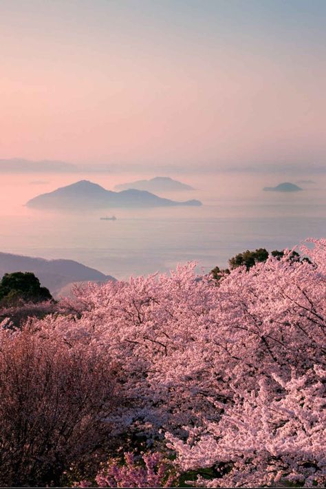 Setouchi Islands Japan (May not have spelled correctly Desktop Aesthetic, Japan Spring, Sakura Bloom, Mystical Places, Some Beautiful Pictures, Places On Earth, Nothing But Flowers, Japan Art, Pink Sky