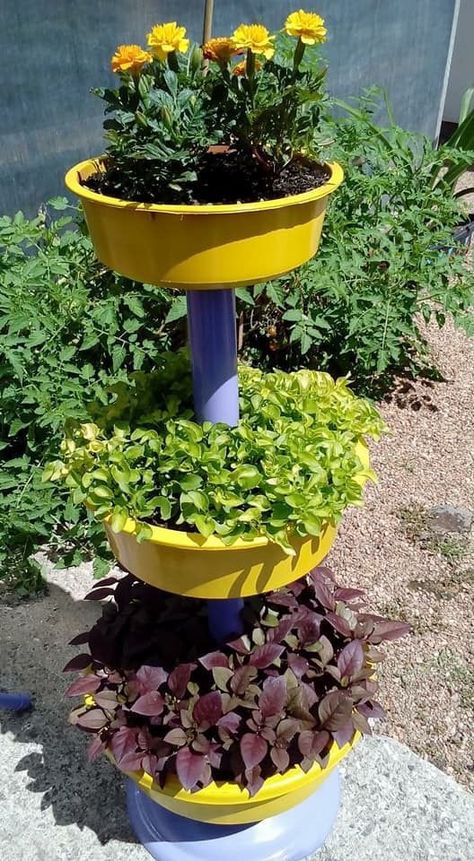 Diy Vertical Garden, Green Wall Garden, Furniture Ideas For Small Spaces, Diy Patio Furniture Ideas, Creative Garden Decor, Flower Pot Design, Diy Raised Garden, Back Porch Ideas Covered, Garden Decor Projects