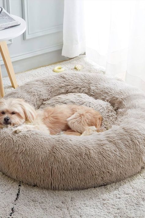 lazypaws is my online store built for pet lovers who wanna deliver a beautiful non slip BED for their dog or cat!! All Types Of Cats, Round Bed, Donut Bed, Donut Dog Bed, Dog Basket, Cat Cushion, Calm Dogs, Super Cat, Fluffy Dogs