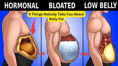 These are 8 little-known things about belly fat, how it accumulates, and how to get rid of it. Getting a flat stomach can be very straight forward but there are some things that contribute to fat gain that most people aren't aware of. Many people are looking for the best exercises to reduce belly fat but exercises typically don't contribute as much to fat reduction as diet. Lower Stomach Workout, Target Workout, Pilates Challenge, Lower Body Muscles, Lower Stomach, Bloated Belly, Thigh Muscles, Pilates For Beginners, Fat Reduction