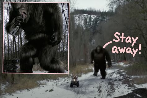 Real Bigfoot Pictures, Bigfoot Video, Real Bigfoot, Bigfoot Encounters, Bigfoot Pictures, Bigfoot Art, Bigfoot Sightings, Perez Hilton, Fireworks Show