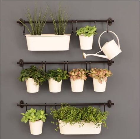 Take a look at this fab plant display hack using Ikea rails! Ideal Home Magazine House Plant Ideas, Plants Low Light, Herb Garden Wall, Ideal Home Magazine, Plant Display Ideas, Indoor Plants Low Light, Tree Indoor, Indoor Plant Wall, Light Tree