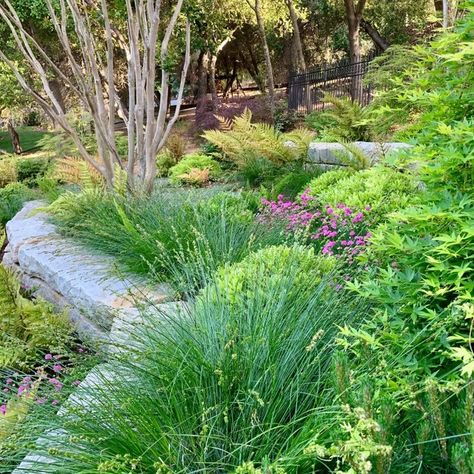 75 Craftsman Front Yard Landscaping Ideas You'll Love - August, 2024 | Houzz Craftsman Garden Landscaping, Radiance Abelia Landscaping, Craftsman Front Yard Landscaping, Alabama Landscaping Ideas, Craftsman Front Yard, Craftsman Garden, Craftsman Landscaping, Industrial Scandinavian, Farmhouse Transitional