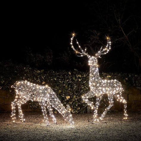 Outdoor Christmas Reindeer, Outdoor Xmas Lights, Outdoor Reindeer, Christmas Led Lights, Christmas Deer Decorations, Stag And Doe, Reindeer Lights, House Lights, Christmas Decs