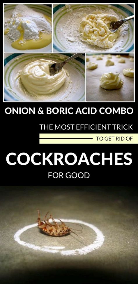 Onion And Boric Acid – The Most Efficient Trick To Get Rid Of Cockroaches For Good #cockroaches #kitchen #removeroaches #roachesremoval #boricacid Boric Acid For Roaches, Natural Ways To Get Rid Of Roaches, German Cockroaches How To Get Rid Of, Roach Infestation How To Get Rid Of, Home Remedies For Cockroaches, Get Rid Of German Roaches Fast, Cockroach Repellent, Zest Soap, Roach Infestation