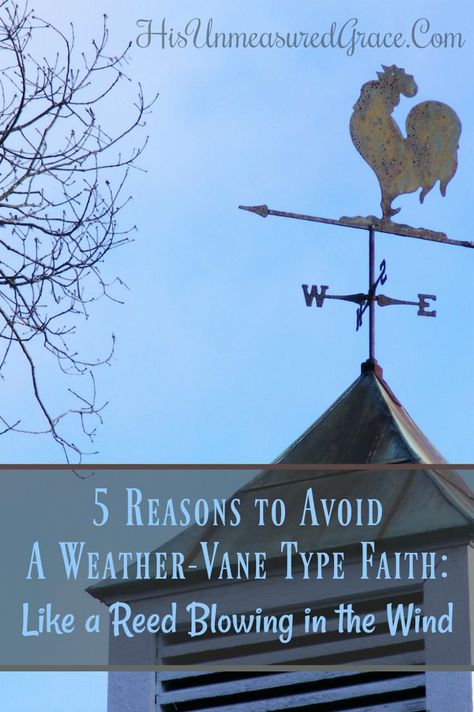 Are you sometimes like a weather-vane with faith that is blowing in the wind like a reed? How you can reflect Christ from the inside-out. God's Glory, Online Bible Study, Blowing In The Wind, Christian World, Weather Vanes, Gods Love Quotes, Womens Bible Study, Christian Resources, Joy Of The Lord