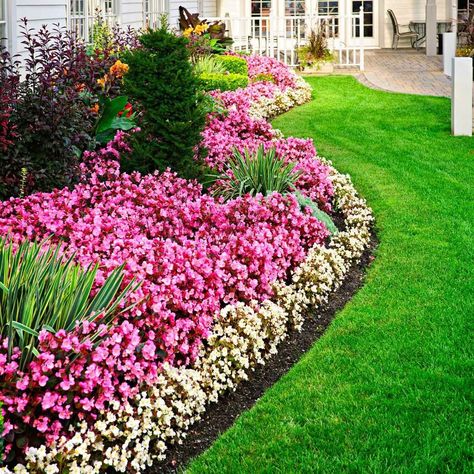 10 Flower Border Ideas and Designs | Family Handyman Metal Lawn Edging, Steel Edging Landscape, Garden Pavers, Border Ideas, Small Front Yard, Flower Bed Ideas, Garden Wallpaper, Landscape Edging, Lawn Edging