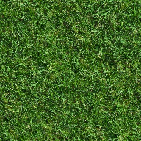 Lush Seamless Grass Texture by Textures Shop on @creativemarket Grass Texture Seamless, Grass Photoshop, Grass Driveway, Grass Alternative, Grass Type Pokemon, Grass Texture, Plant Texture, Grass Painting, Grass Background