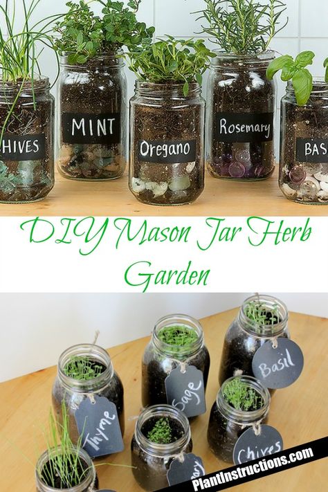 Jar Herb Garden, Kebun Herbal, Mason Jar Herbs, Mason Jar Herb Garden, Taman Diy, Tanaman Indoor, Tanaman Pot, Herb Jar, Diy Herb Garden