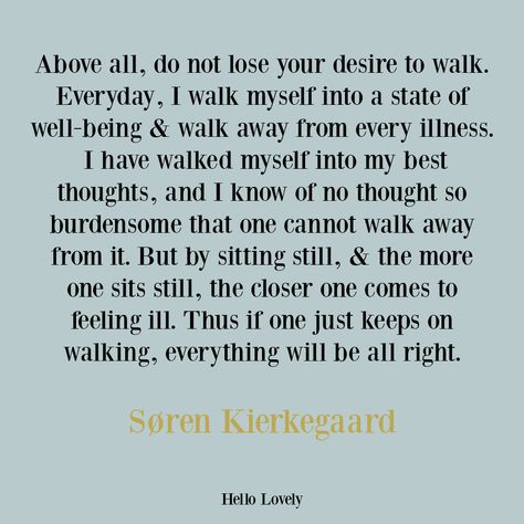 Soren Kierkegaard Quotes Love, Garden Curb Appeal, Quotes About Home, Soren Kierkegaard Quotes, Kierkegaard Quotes, Benjamin Moore Balboa Mist, Walking Quotes, Balboa Mist, Tree Wallpaper Mural