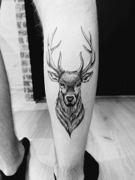 Deer Tattoo Men, Antler Tattoos, Moose Tattoo, Christmas Tattoo, Deer Tattoo, Traditional Tattoo Sleeve, Doodle Art Designs, Tattoo Sleeve, First Tattoo