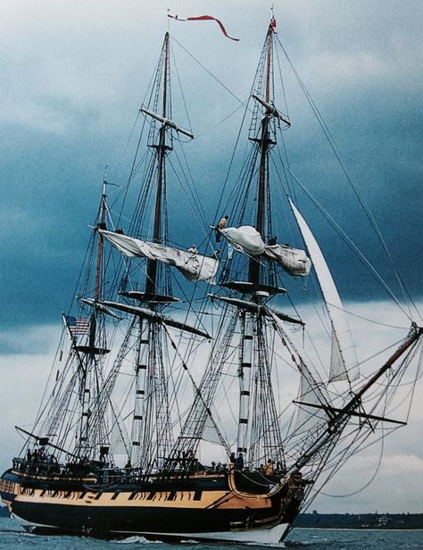 HMS Surprise/Rose Hms Surprise, Hms Hood, Model Warships, Navi A Vela, Uss Constitution, Old Sailing Ships, Ship Of The Line, Vintage Boats, Sailing Vessel