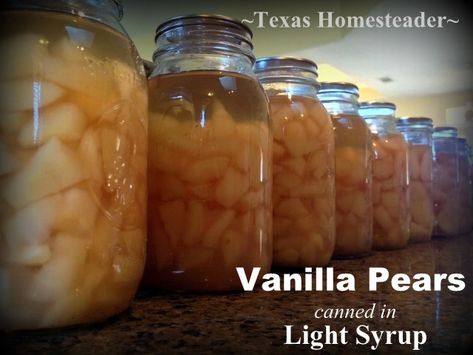 Fresh pear harvest season means vanilla pears water-bath canned in light syrup. I enjoy chilling a jar and Fresh pear harvest season means vanilla pears water-bath canned in light syrup. I enjoy chilling a jar and enjoyng the sweet pears as a light, delicious, healthy dessert in those hot summer months. #TexasHomesteader #Pear #Vanilla #HomeCanningthe sweet pears as a light, delicious, healthy dessert in those hot summer months. #TexasHomesteader #Pear #Vanilla #HomeCanning Vanilla Pears Canned, Water Bath Cooking, Homesteading Inspiration, Canning Jar Storage, Canning Pears, Pear Preserves, Cooking Pork Roast, Pear Sauce, Texas Garden