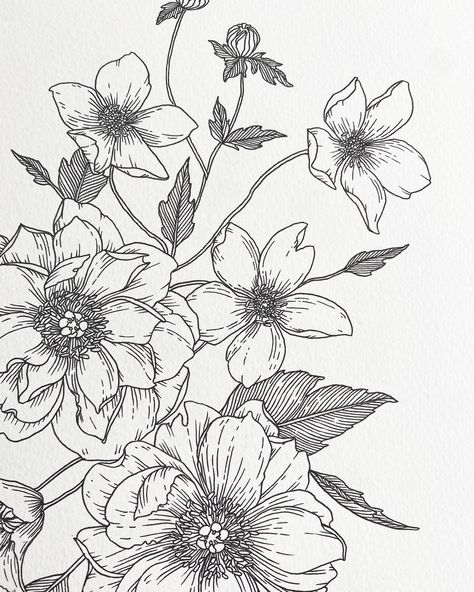 Peony, clematis + dog rose. Applic Work, Dog Rose, Humble Pie, Flower Line Drawings, Original Ink Drawing, Flower Sketches, Custom Tattoo Design, Ink Drawings, Floral Prints Art