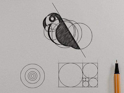 BIRD GOLDEN RATIO by Garagephic Studio on Dribbble Golden Ratio Art, Logo Sketch Design, Golden Ratio In Design, Golden Ratio Logo, Geometric Structure, Compass Logo, Logo Sketches, Logo Making, Logo And Branding