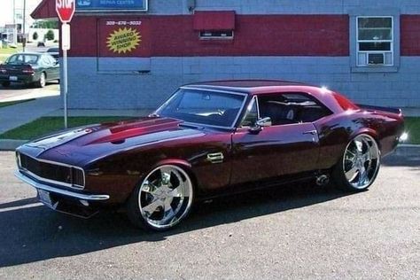 Picture memes ooyHEoZX8 by Marino: 18 comments – popular America’s best pics and videos on the site https://americasbestpics.com 1967 Camaro, Old Muscle Cars, Chevy Muscle Cars, Vintage Muscle Cars, Custom Muscle Cars, Old School Cars, Foose, Sweet Cars, Candy Apple