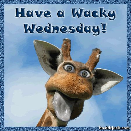 Blink GIF - Giraffe Wednesday Humpday - Discover & Share GIFs Funny Giraffe Pictures, Wednesday Hump Day, Wednesday Greetings, Wednesday Humor, Giraffe Pictures, Funny Romance, Wacky Wednesday, Good Morning Wednesday, Happy Wednesday Quotes