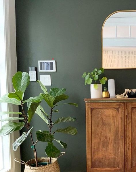 Sherwin Williams Dark Green, Sage Green Wall Paint, Bathroom Paint Colors Sherwin Williams, Sherwin Williams Paint Colors Green, Dark Green Paint Colors, Green Wall Paint, Green Bathroom Colors, Green Bathroom Paint, Green Interior Paint