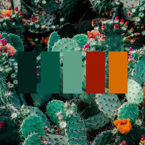 Jade Orange Color Palette, Black Orange Green Aesthetic, Colors That Compliment Burnt Orange, Orange Magenta Green Color Palette, Burn Orange Color Pallet, Miss Green Color Palette, Red Green Orange Color Scheme, Desert Pallet Colors, Bright Desert Color Palette