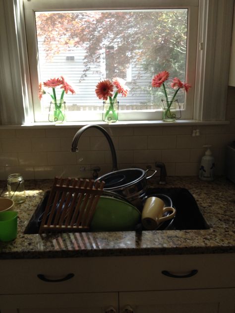 Sink full of dirty dishes - but wow those gerber daisies make the task almost enjoyable Gerber Daisies, Dirty Dishes, Washing Dishes, Flowers