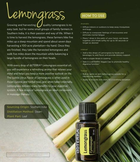 A popular digestive tonic, doTERRA Lemongrass has a refreshing lemon-herb-like aroma.* Lemongrass essential oil supports the health of the nervous system, promotes a cheerful mood, and tones the skin. It’s also a popular oil to use in massage to refresh and rejuvenate muscles. #healthtips #naturalhealth #doterra #essentialoils Doterra Lemongrass, Doterra Recipes, Essential Oil Diffuser Recipes, Oil Diffuser Recipes, Lemongrass Oil, Aromatic Plant, Lemon Herb, Lemongrass Essential Oil, The Nervous System