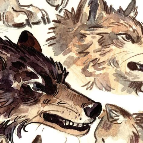 JelArts - Critter Illustrator on Instagram: "Wolves! Here's the sketchbook print for September. I had a blast drawing these big dogs! There will be a video process for this page too 🐺#sketchbook #illustration #wolves #wolf #drawing #artist #sketch #artdump #sketchdump" How To Draw Wolf, Blast Drawing, Aesthetic Journals, Husky Drawing, Sketchbook Doodles, Wolf Colors, Sketchbook Inspo, The Sketchbook, Sketchbook Illustration