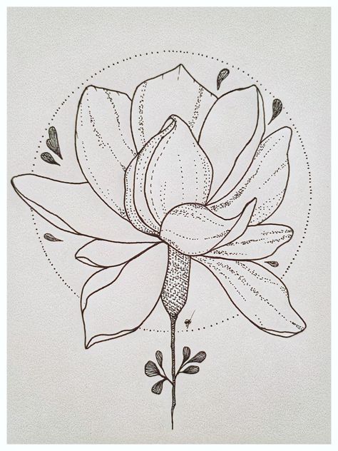 Pencil, drawing pen, jasmine flower Jasmine Flowers Illustration, How To Draw Jasmine Flower, Jasmine Flower Drawing Art, Jasmine Drawing Flower, Jasmine Flower Sketch, Jasmine Flower Drawing, Jasmine Sketch, Jasmine Flower Tattoo, Jasmine Drawing