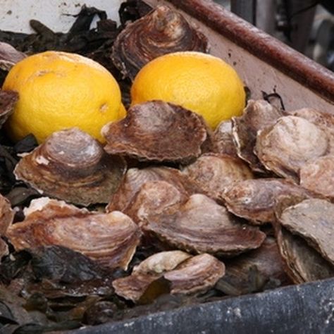 Steamed Oysters On Stove, Steam Oysters, Fish Foil Packets, Baked Oyster Recipes, Steamed Oysters, Cajun And Creole Recipes, Chicken With Spinach, Oyster Roast, Cook Meat