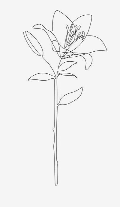 One Line Water Lily, Single Line Lily Tattoo, One Line Lily Tattoo, Fresia Flower Tattoo, Lily Of The Incas Tattoo, Amaryllis Tattoo Design, Fine Line Water Lily Tattoo, Fresias Tattoo, Lily Fine Line Tattoo