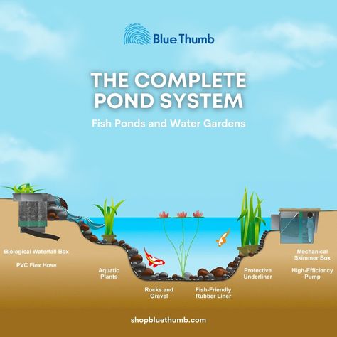 Experience Clean, Clear Water with the Blue Thumb Pond System Our pond kits include a mechanical skimmer filter and a biological waterfall filter to keep your pond clean and clear. Enhance the natural look with rocks and gravel. shopbluethumb.com | 888-619-3474 #BlueThumbINC #PondSystem #PondKits #WaterFeatureCare #HealthyPond #ClearWater #PondFiltration #EcoFriendly #NaturalPond #PondMaintenance #EcoFriendly #MadeInTheUSA Pond Filter System, Pond Kits, Pond Cleaning, Pond Maintenance, Pond Filters, Natural Pond, Water Pond, Man Up Quotes, Fish Ponds