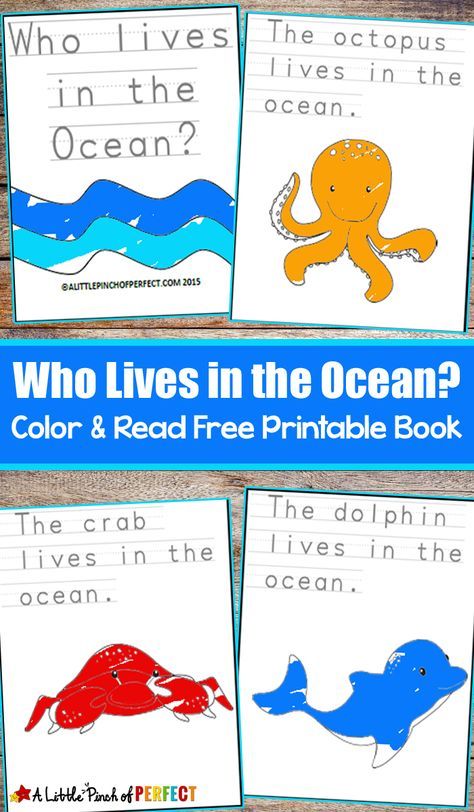 Who Lives in the Ocean? Color and Read Free Printable Book (preschool, kindergarten, summer) Ocean Animals Kindergarten, Literacy Luau, Ocean Reading, Ocean Preschool, Ocean Lesson Plans, Preschool Ocean, Ocean Habitat, Ocean Theme Preschool, Ocean Books