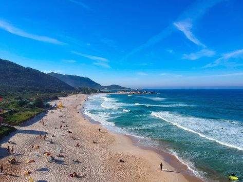 Florianópolis on Instagram: “Lindo dia na Praia Mole 🌊 ⠀⠀⠀⠀⠀⠀⠀⠀⠀ 📸 Foto por @thiagofaquineli ⠀⠀⠀⠀⠀⠀⠀⠀⠀ #florianopolis #praiamole” Mole, Water, On Instagram, Instagram, Florianopolis