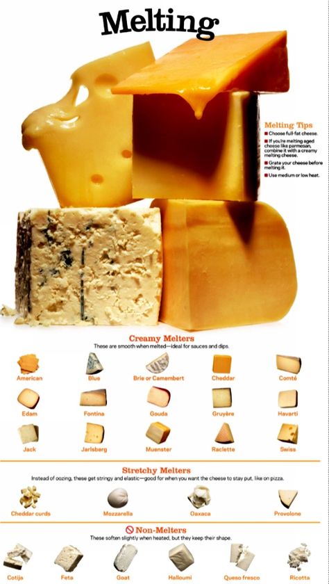 Cheese melting tips #cheese #finecheese #cheesehead #foodie #foodiechats #grilledcheese #gourmet #specialityfood How To Melt Cheese, Leng Leng, Cheese Guide, Cheese Melting, Cheese Melt, Fruit Dips, Melting Cheese, Tips For Cooking, Nae Nae