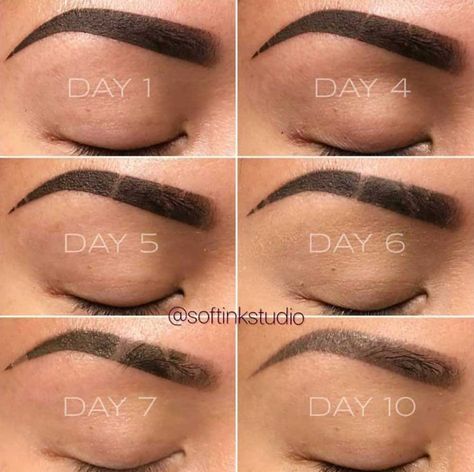 Eyebrow Tattoo Ombre Powder, Brow Tattoo Aftercare, Healed Powder Brows, Microblading Vs Powder Brow, Ombre Powder Brows Before And After, Ombre Powder Brows Healing Process, Powder Brows Vs Microblading, Powder Brows After Care, Combo Brows Healing Process