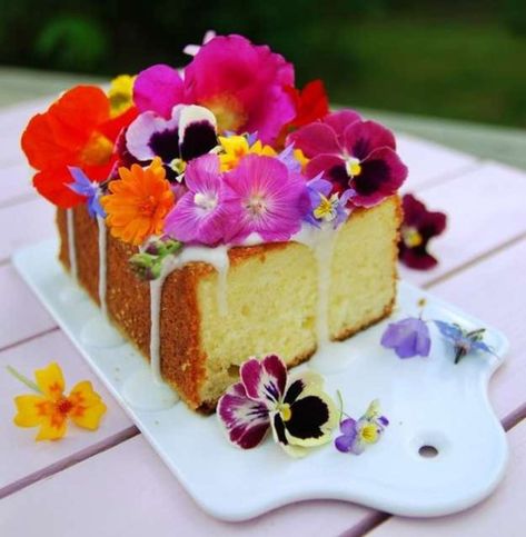 Edible Flowers Cake, Edible Flowers Recipes, Pastel Cupcakes, A Piece Of Cake, Läcker Mat, Flower Food, Cupcake Cake, Piece Of Cake, Izu