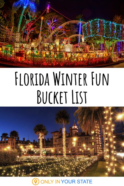 Florida In December, Christmas Florida, Giant Christmas Tree, Things To Do In Florida, Winter In Florida, Florida Winter, Christmas Things To Do, Florida Travel Guide, Florida Adventures