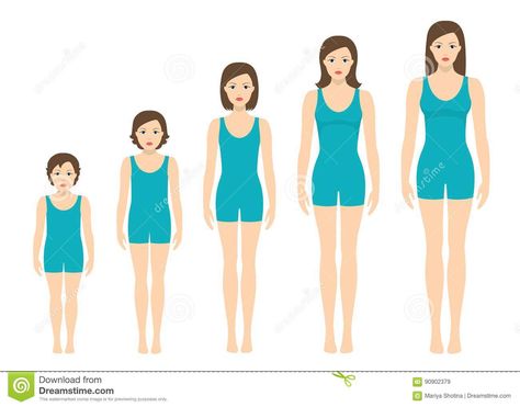 Women`s body proportions changing with age. Girl`s body growth stages.. Illustration about anatomy, baby, growth, illustration, change, body, character, girl, height - 90902379 Growth Illustration, Character Girl, Physical Change, Baby Growth, Body Proportions, Hormone Health, Girl Body, Body Size, Fantasy Character Design