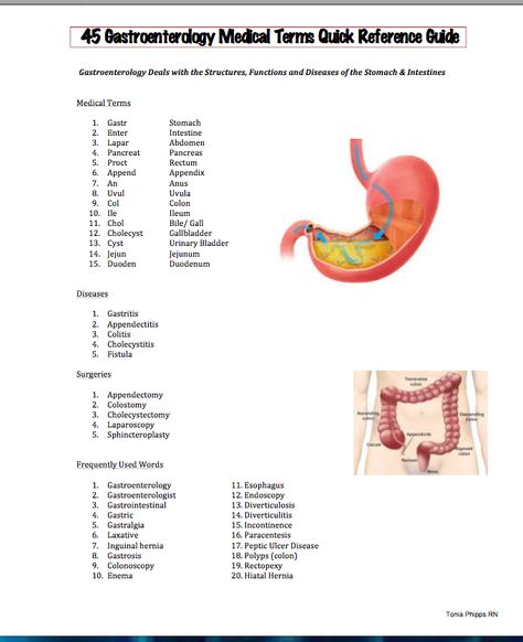 Easy Medical Terminology 2.0: Gastroenterology Free PDF Medical Term Guide Medical Terminology Cheat Sheet, Medical Coding Cheat Sheet, Medical Assistant Certification, Medical Reference, Latin Grammar, Medical Terminology Study, Medical Assistant Student, Medical Life, Bells Palsy