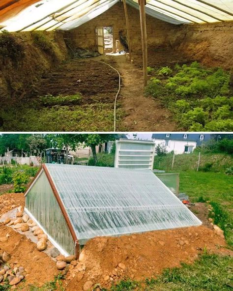 Underground Garden, Underground Greenhouse, Diy Ponds Backyard, Underground Pool, Shed Of The Year, Modern Agriculture, Farming Techniques, Grow Food, Greenhouse Plans