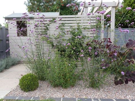 Garden Fence Colours Small Garden Fence, Painted Shed, Trellis Garden, Front Gardens, Gravel Garden, Garden Shrubs, Lilac Grey, Have Inspiration, Garden Painting