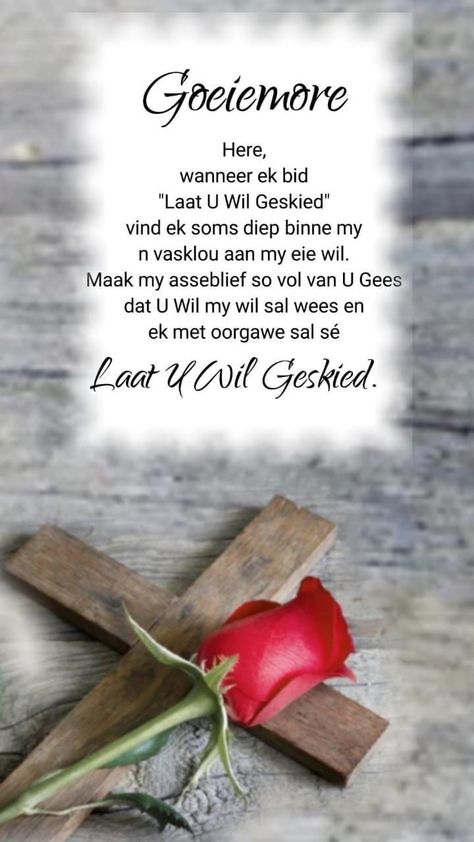 Palm Sondag Boodskappe, Paas Sondag Afrikaans, Goeie Vrydag Paasfees Boodskappe, Sondag Boodskappies Afrikaans Christelik, Môre Sê Boodskappies, Geseënde Paasfees, Positiewe Gedagtes, Geseënde Kersfees, Good Morning Quotes Friendship