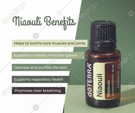 Niaouli Diffuser Blend, Niaouli Essential Oil Uses, Patchouli Oil Benefits, Doterra Patchouli, Doterra Niaouli, Patchouli Spiritual Benefits, Niaouli Essential Oil, Health Cleanse, Respiratory Health