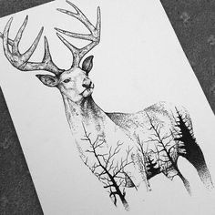 Sketches Heart, Tattoo Sleeve Drawings, Traditional Tattoo Arm, Deer Head Tattoo, Tattoo Animals, Stag Tattoo, Nature Mandala, Deer Tattoo, New Pen