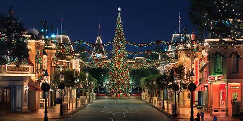 disneyland at christmas Disneyland Main Street, Cabana Bay, Disneyland Holidays, Disneyland Christmas, Christmas Guide, Disneyland Park, Disney California Adventure, Disney California, Disney Holiday