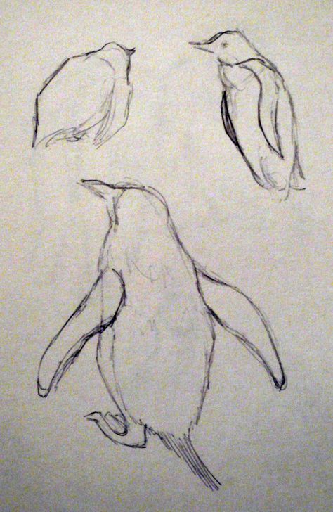 Penguins at Edinburgh Zoo #drawing #sketchbook #sketches #art #animals #zoo Zoo Animals Drawing, Zoo Drawing, Edinburgh Zoo, Zoo Book, Observational Drawing, Sketches Easy, Animal Sketches, Zoo Animals, Felt Art