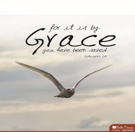 On the Wings of Grace ~ CHRISTian poetry by deborah ann ~ Grace Bible Verses, Christian Quotes Scriptures, Tattoo Quotes About Strength, Bible Verse Tattoos, Tattoo Quotes About Life, Verses About Love, Bible Verses About Love, Inspirational Bible Verses, Gods Grace