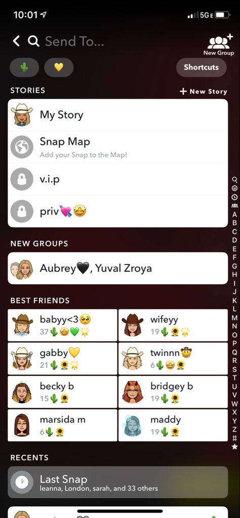 Best Friend List Emojis, Snapchat Best Friends List, Best Friend List, Green Snapchat, Snapchat Inspiration, Snap Emojis, Snapchat Best Friends, Snapchat Friend Emojis, Friend Emojis